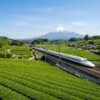 静岡の美しい茶畑と富士山の脇を走り抜ける新幹線